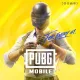 PUBG Mobile UC