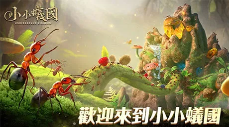 小小蚁国国际服充值指南